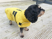 Happy Cap Dog Jacket Go Walk Sustardo trapuntato - afbeelding 3