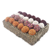 Cupido Comet Avvent Gift 'N' Forage Truffle Scale - afbeelding 1