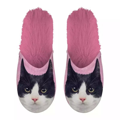 Pink di gatto in bianco e nero scivoloso