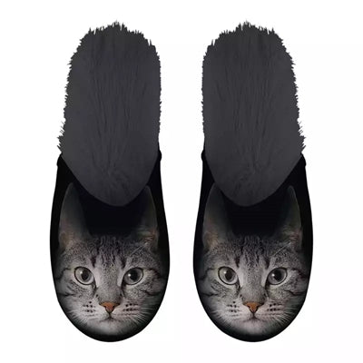 Nero gatto grigio scivoloso