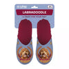 Pantoffel labradoodle lila rood