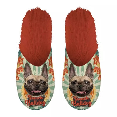Slippel bulldog francés bulldog francés oranje