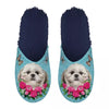 Pantoffel shih tzu lichtblauw donkerblauw