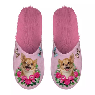 Pink di chihuahua