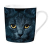 Plenty gifts mok zwarte kat