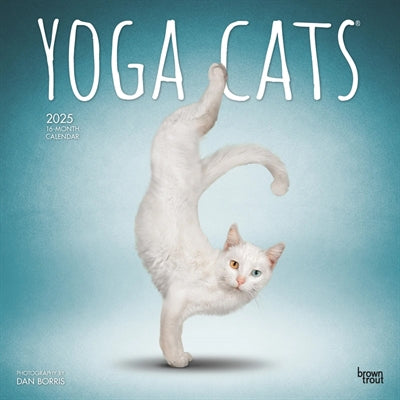 Calendario Yoga Cats 2025