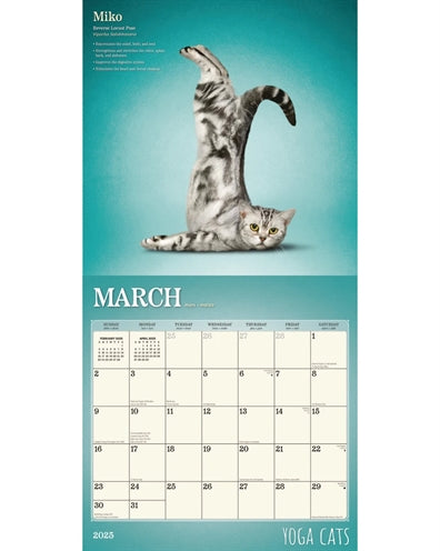 Calendario de yoga gatos 2025