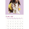 Calendario Rabbits Studio 2025