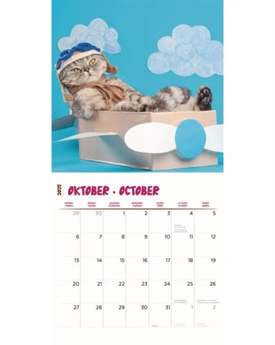 Calendario Cats más divertidos 2025