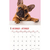 Calendario Frenchies Studio 2025