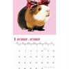 Calendario Cava's Studio 2025