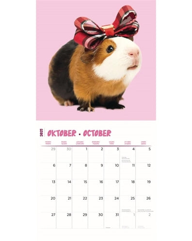Calendario Cava's Studio 2025
