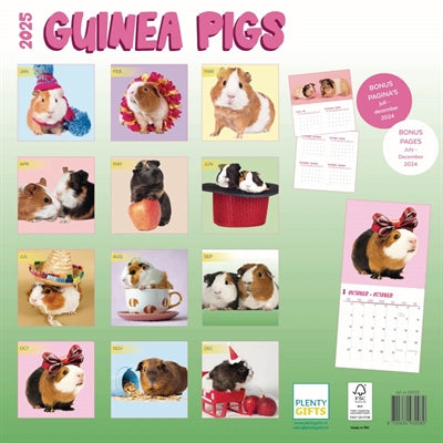 Calendario Cava's Studio 2025