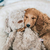 Il mio cane il mio cane cane peluche marrone