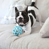 Jw hol-ee roller trend-ee blauw