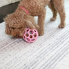 Jw hol-ee roller trend-ee roze
