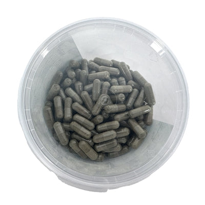 Reabsorción de drogas animales de frutas de reabsorción fetal
