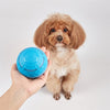 FOFOS Roll Ball ricaricabile per i cani