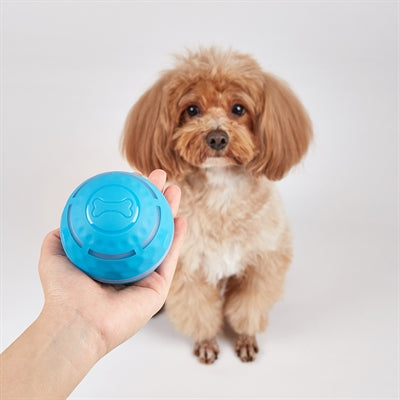 FOFOS Roll Ball ricaricabile per i cani