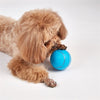 FOFOS Roll Ball ricaricabile per i cani