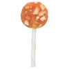 Trixie denta divertente pollo lolly