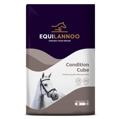 CUBE CONDIZIONE EQUANNOO