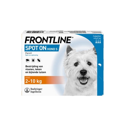 Spot del cane in prima linea