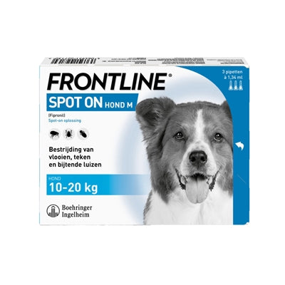 Spot del cane in prima linea