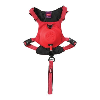 Zolux Easyride Dog Eard Red