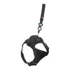 Zolux Easyride Dog Eard Black