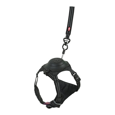 Zolux Easyride Dog Eard Black