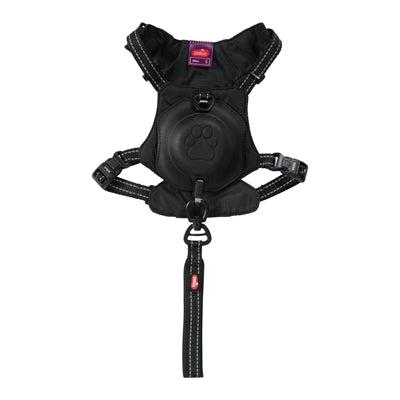 Zolux Easyride Dog Eard Black