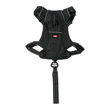 ZOLUX EASYRIDE DOG EARD BLACK - afbeelding 3