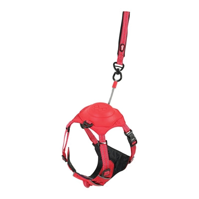 Zolux Easyride Dog Eard Red