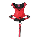 Zolux Easyride Dog Eard Red - afbeelding 2