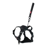 Zolux Easyride Dog Eard Black - afbeelding 1