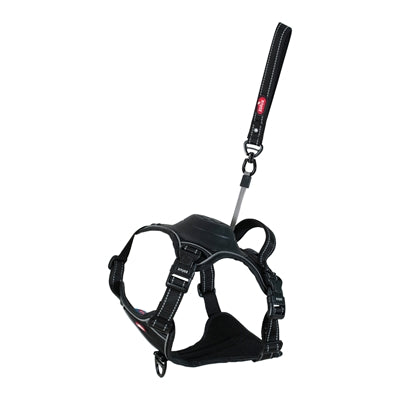Zolux Easyride Dog Eard Black