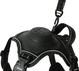 Zolux Easyride Dog Eard Black - afbeelding 4
