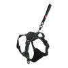 Zolux Easyride Dog Eard Black