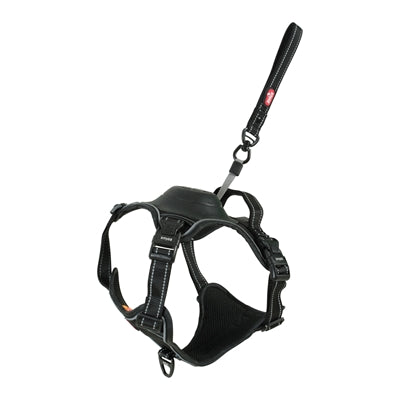 Zolux Easyride Dog Eard Black