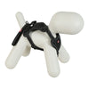 Zolux Easyride Dog Eard Black
