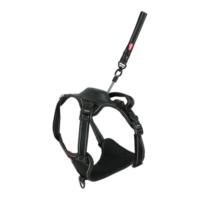 Zolux Easyride Dog Eard Black