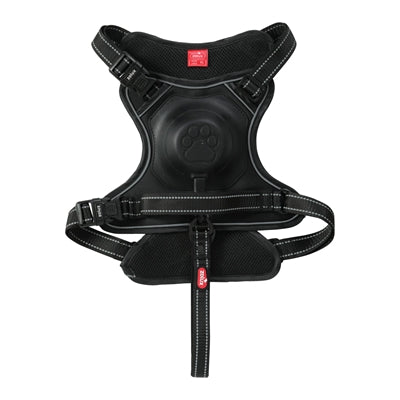 Zolux Easyride Dog Eard Black