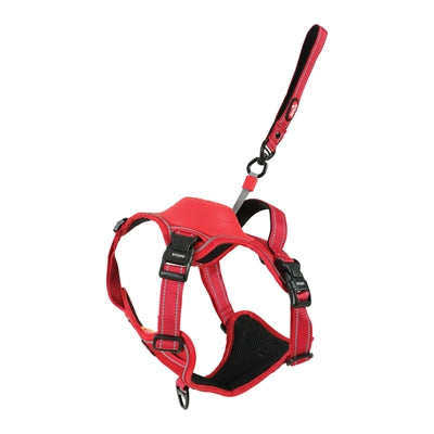 Zolux Easyride Dog Eard Red
