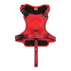 Zolux Easyride Dog Eard Red