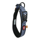 Zolux BVK Collar Dog Blue