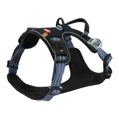 Zolux bvk dog tuard azul