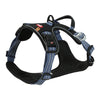 Zolux BVK Dog Tuard Blue