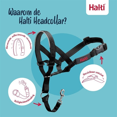 The Company of Animals Company of Animals Halti Headcollar Black