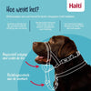 The Company of Animals Company of Animals Halti Headcollar Black